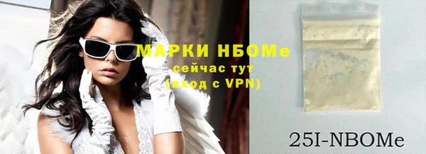 индика Болохово