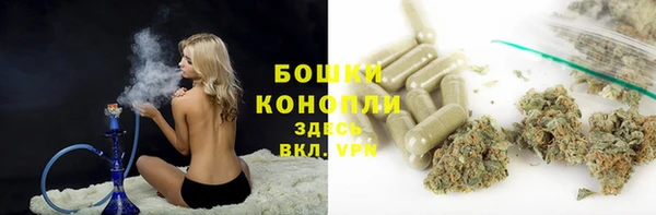 apvp Надым