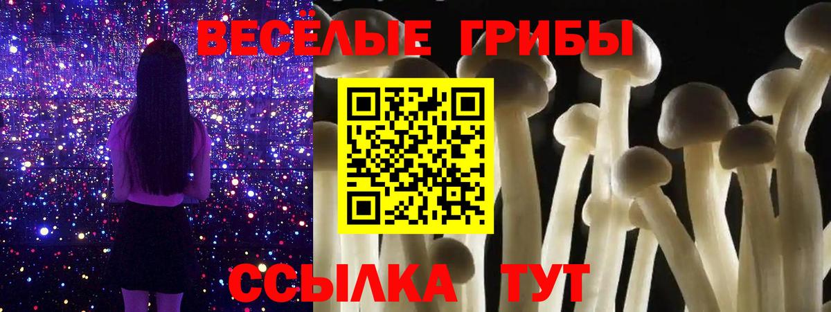Псилоцибиновые грибы Psilocybe Лесозаводск