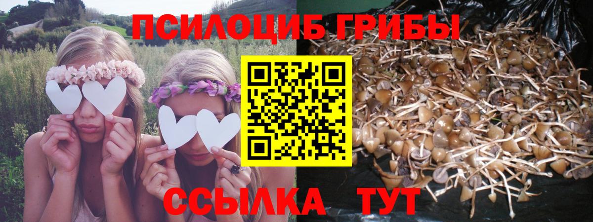Галлюциногенные грибы мицелий  Вход с VPN  как найти закладки  Лесозаводск  Псилоцибиновые грибы Magic Shrooms 
