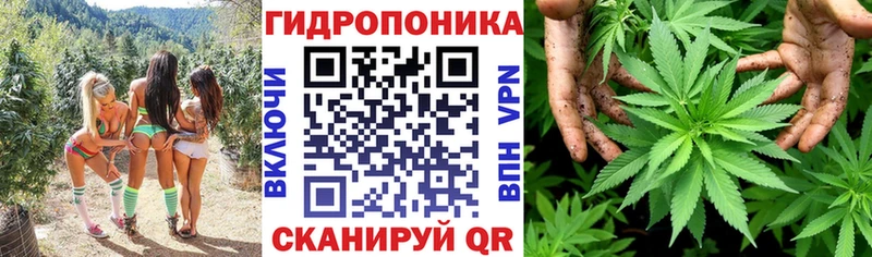 Канабис SATIVA & INDICA  купить наркотик  Лесозаводск 
